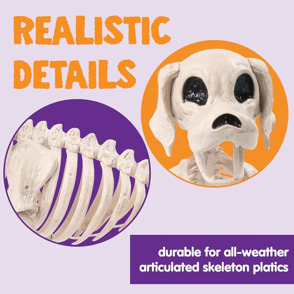 Posable Halloween Dog Skeleton Full Body Posable Joints Realistic Skeleton Puppy with Movable Joints for Halloween Decoration, Graveyard Party Decor (9.8inch X 4.7inch X 12.6inch)