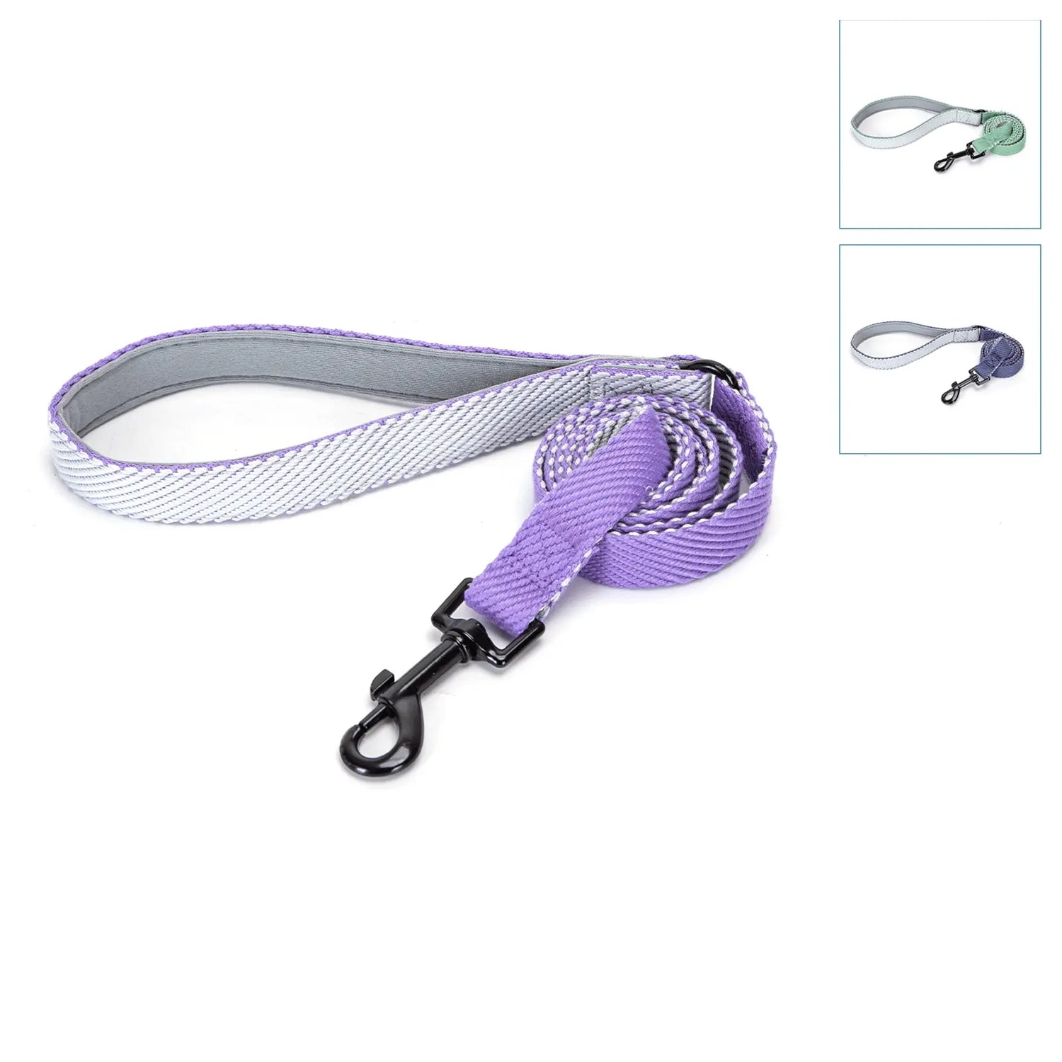 Pet Leashes