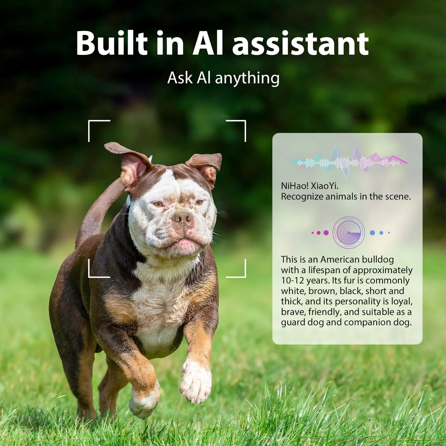 Gemirels new generation of high-value smart glasses, dual cameras, AI image recognition glasses, 2.07 million pixel photography, WIFI transmission, intelligent anti shake, 290mAh battery, translation glasses, camera glasses,