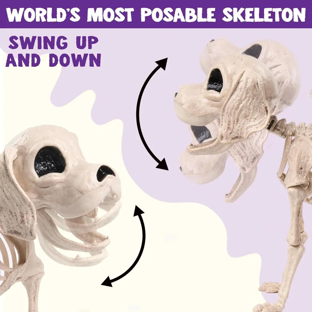 Posable Halloween Dog Skeleton Full Body Posable Joints Realistic Skeleton Puppy with Movable Joints for Halloween Decoration, Graveyard Party Decor (9.8inch X 4.7inch X 12.6inch)