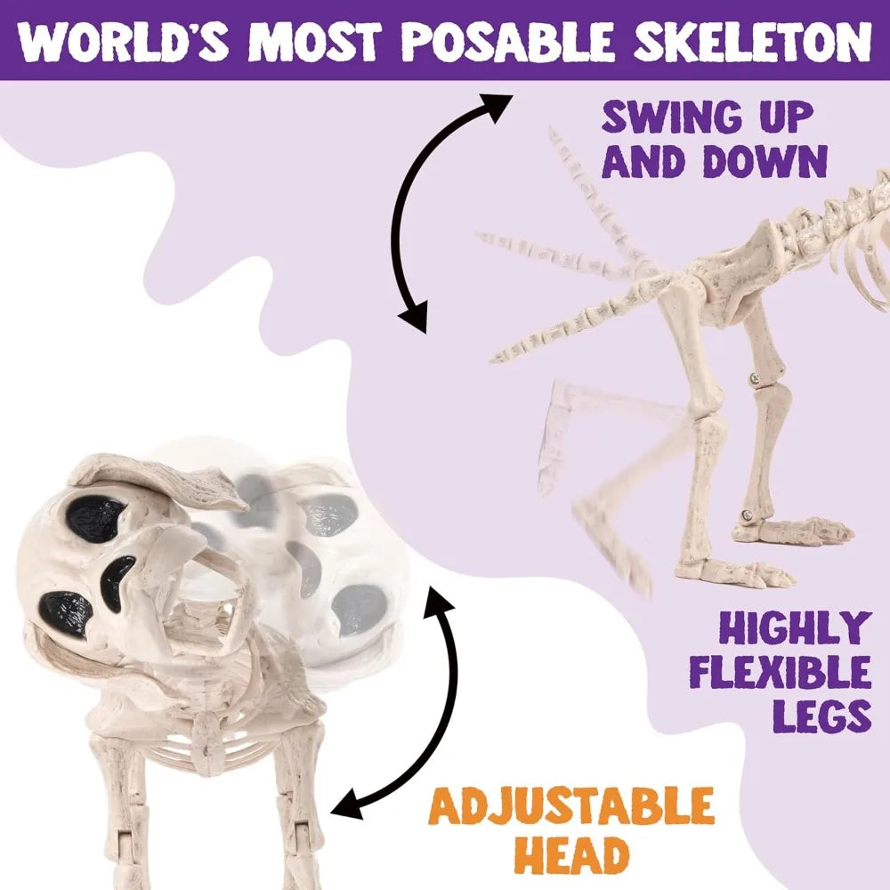 Posable Halloween Dog Skeleton Full Body Posable Joints Realistic Skeleton Puppy with Movable Joints for Halloween Decoration, Graveyard Party Decor (9.8inch X 4.7inch X 12.6inch)