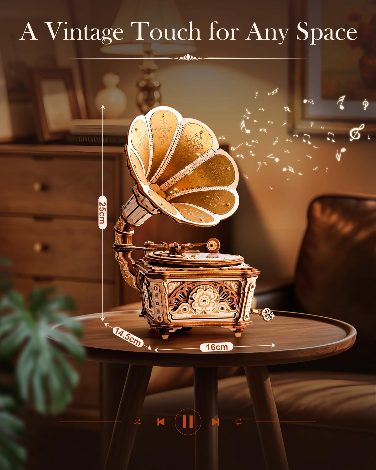 ROKR Wooden 3D Puzzle Diva Gramophone Music Box Mechanical Model Building Kit for Home Decor Holiday Gift for Adults Teens Friends